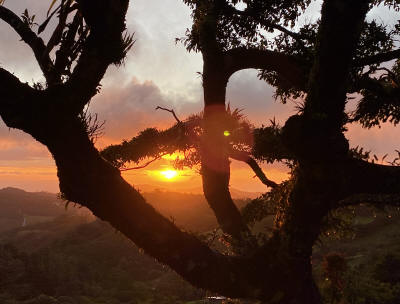 Sunset in the Monteverde Cloud Forest