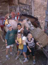 horses and costa rica kids