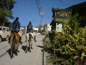 horseback riding adventure vacation start in Sta. Elena Monteverde Costa Rica