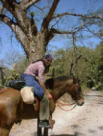 horseback riding vacation Costa Rica Simone