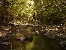 rio santa lucia in tilaran costa rica