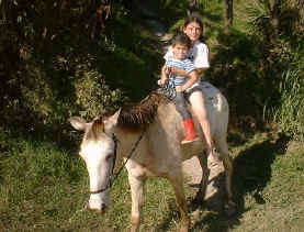 children horseback riding  4 and 2 year old - no saddle Monteverde Costa Rica