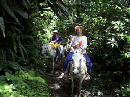 Costa Rica horseback riding Vacation