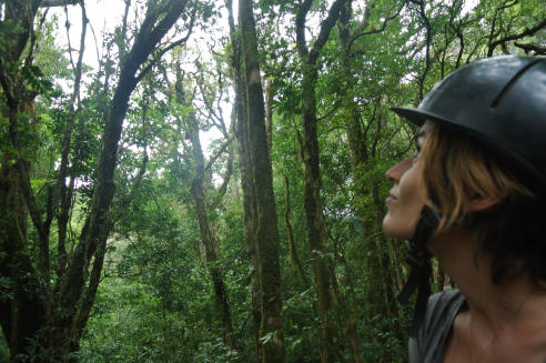 Experienced rider in the Cloud Forest