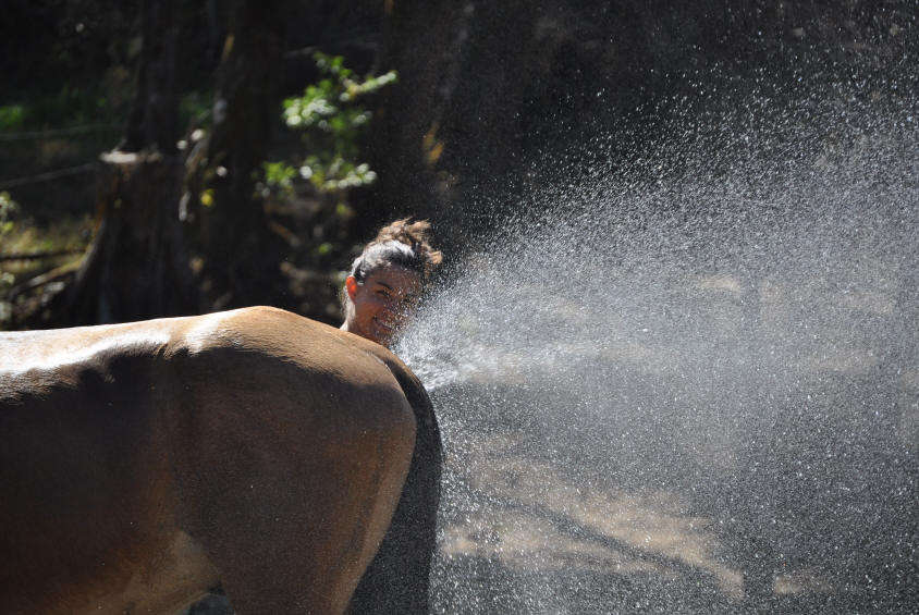horse care at Smiling Horses Monteverde