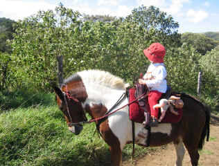 Pony horseback riding for children in Monteverde Costa rica