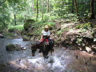 Monteverde to Sierra river horseback riding 3
